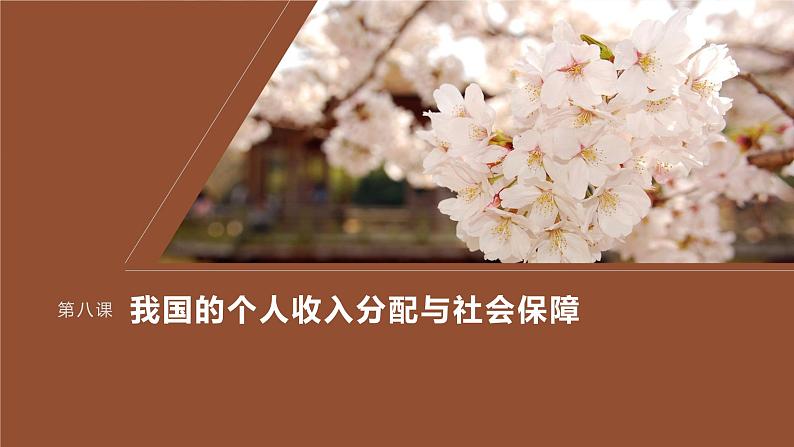 2024届高考政治一轮复习(部编版江苏专用)必修2经济与社会第八课课时2我国的社会保障课件第1页