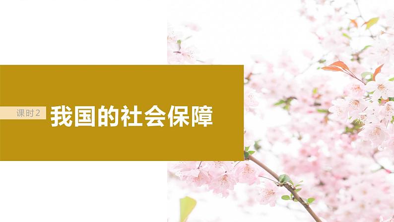 2024届高考政治一轮复习(部编版江苏专用)必修2经济与社会第八课课时2我国的社会保障课件第2页