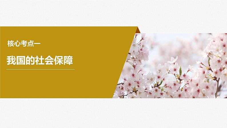 2024届高考政治一轮复习(部编版江苏专用)必修2经济与社会第八课课时2我国的社会保障课件第4页