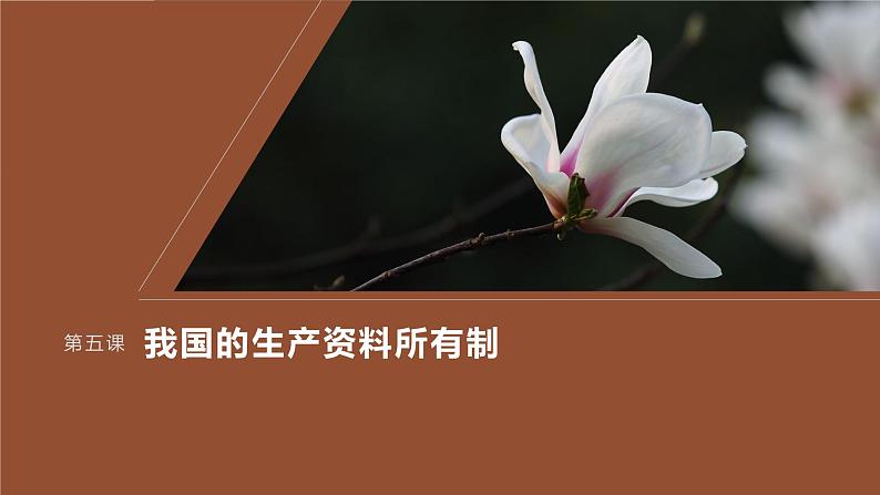 2024届高考政治一轮复习(部编版江苏专用)必修2经济与社会第五课课时2多种所有制经济共同发展课件第1页