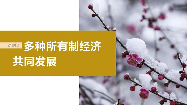 2024届高考政治一轮复习(部编版江苏专用)必修2经济与社会第五课课时2多种所有制经济共同发展课件第2页