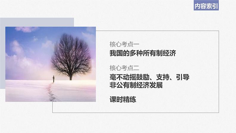 2024届高考政治一轮复习(部编版江苏专用)必修2经济与社会第五课课时2多种所有制经济共同发展课件第3页