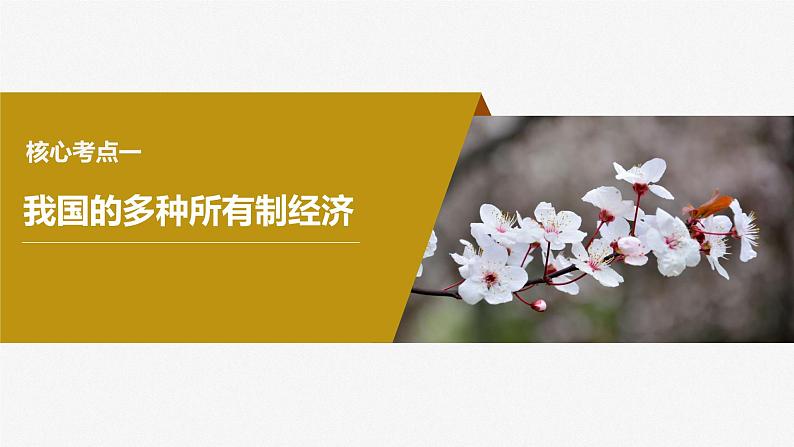 2024届高考政治一轮复习(部编版江苏专用)必修2经济与社会第五课课时2多种所有制经济共同发展课件第4页