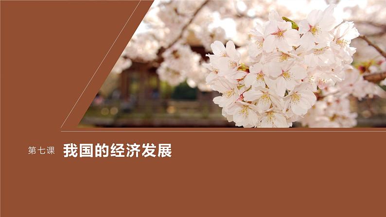2024届高考政治一轮复习(部编版江苏专用)必修2经济与社会第七课课时2建设现代化经济体系课件第1页