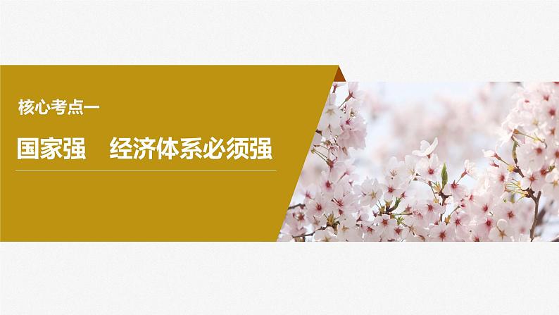 2024届高考政治一轮复习(部编版江苏专用)必修2经济与社会第七课课时2建设现代化经济体系课件第4页