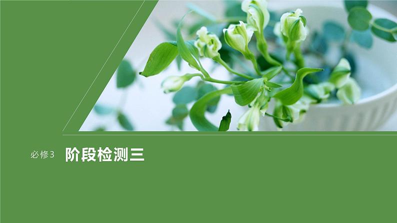 2024届高考政治一轮复习(部编版江苏专用)必修3政治与法治阶段检测三课件第1页