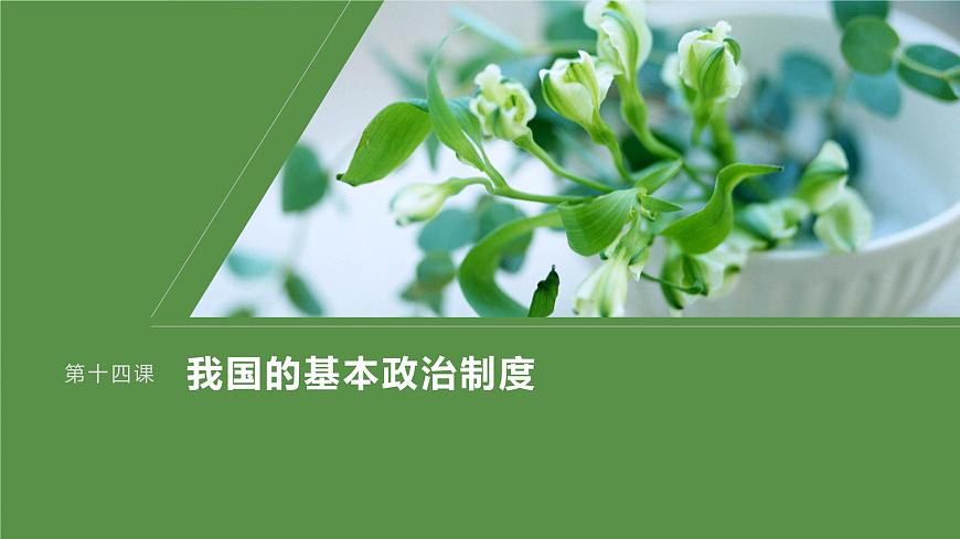 2024屆高考政治一輪復(fù)習(xí)（部編版江蘇專用）必修3政治與法治第十四課課時(shí)3基層群眾自治制度課件第1頁