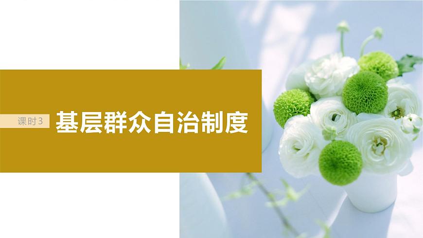 2024屆高考政治一輪復(fù)習(xí)（部編版江蘇專用）必修3政治與法治第十四課課時(shí)3基層群眾自治制度課件第2頁