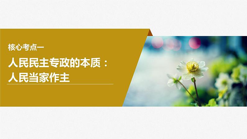 2024届高考政治一轮复习(部编版江苏专用)必修3政治与法治第十二课人民民主专政的社会主义国家课件第6页