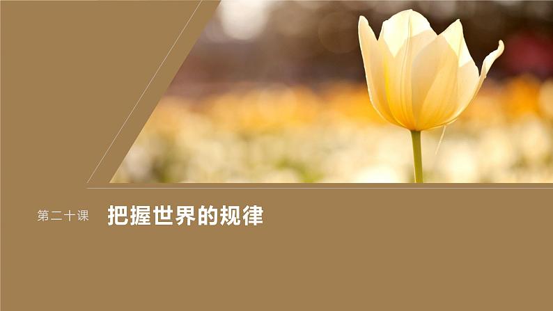 2024届高考政治一轮复习(部编版江苏专用)必修4哲学与文化第二十课课时2大题攻略主观题对“用发展的观点看问题”的考查课件第1页