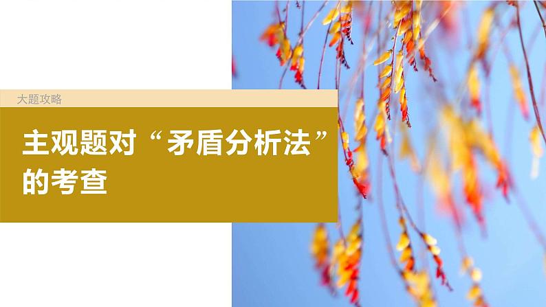 2024届高考政治一轮复习(部编版江苏专用)必修4哲学与文化第二十课课时4大题攻略主观题对“矛盾分析法”的考查课件第2页