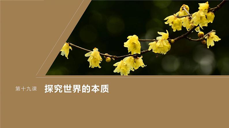 2024届高考政治一轮复习(部编版江苏专用)必修4哲学与文化第十九课课时2正确发挥主观能动性与一切从实际出发课件01