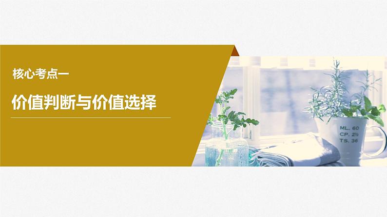 2024届高考政治一轮复习(部编版江苏专用)必修4哲学与文化第二十三课课时2价值判断与价值选择、价值的创造和实现课件第4页