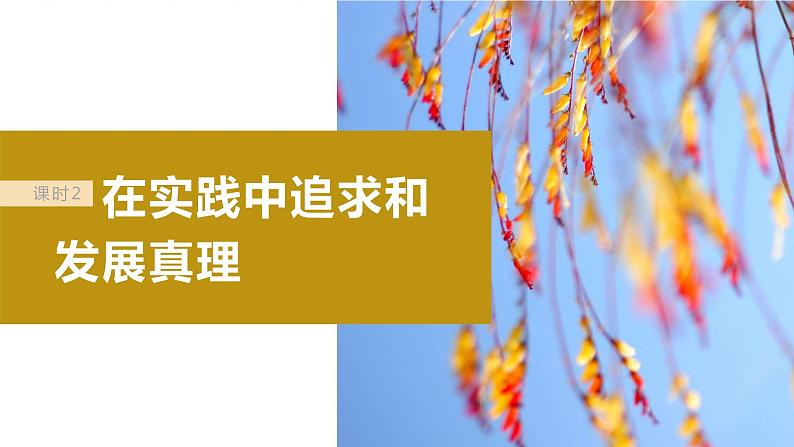 2024届高考政治一轮复习(部编版江苏专用)必修4哲学与文化第二十一课课时2在实践中追求和发展真理课件第2页