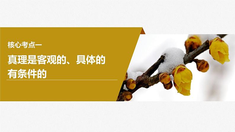 2024届高考政治一轮复习(部编版江苏专用)必修4哲学与文化第二十一课课时2在实践中追求和发展真理课件第4页