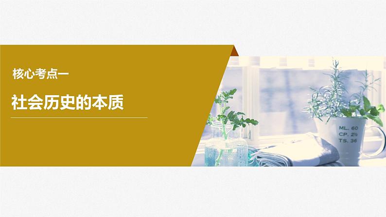 2024届高考政治一轮复习(部编版江苏专用)必修4哲学与文化第二十二课寻觅社会的真谛课件第6页