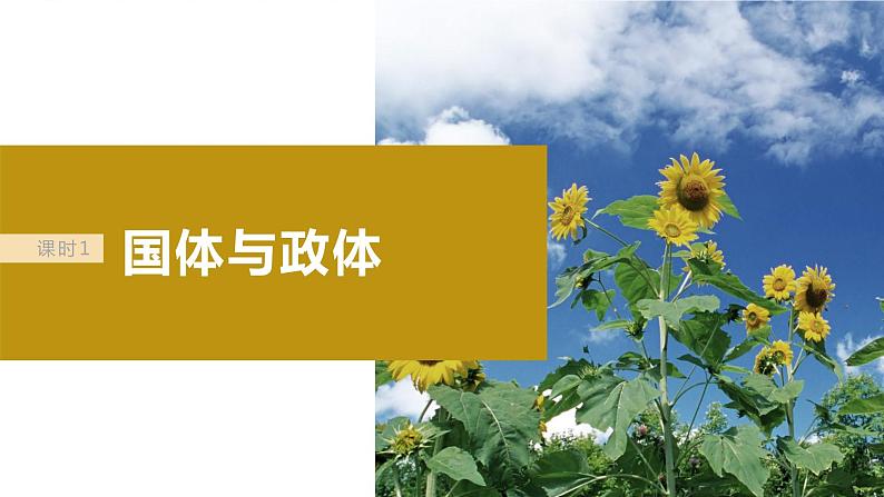 2024届高考政治一轮复习(部编版江苏专用)选择性必修1当代国际政治与经济第二十七课课时1国体与政体课件第6页