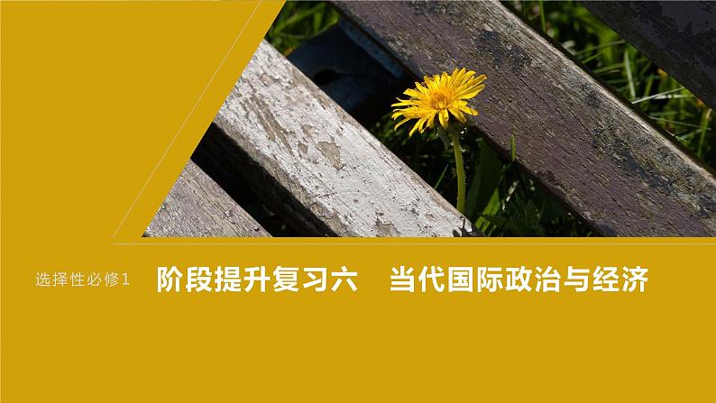 2024届高考政治一轮复习(部编版江苏专用)选择性必修1当代国际政治与经济阶段提升复习六当代国际政治与经济课件第1页