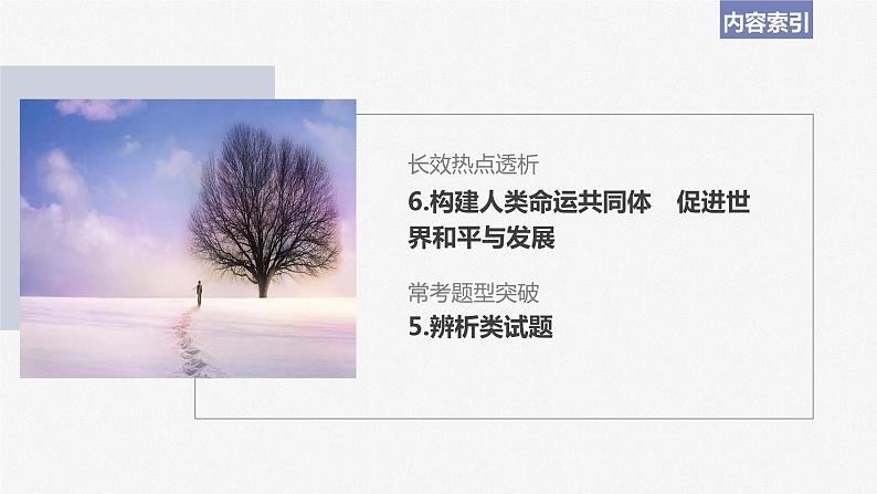 2024届高考政治一轮复习(部编版江苏专用)选择性必修1当代国际政治与经济阶段提升复习六当代国际政治与经济课件第3页