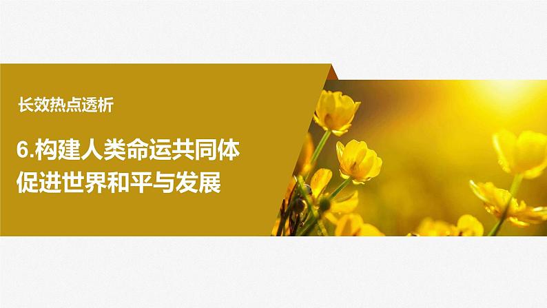 2024届高考政治一轮复习(部编版江苏专用)选择性必修1当代国际政治与经济阶段提升复习六当代国际政治与经济课件第4页