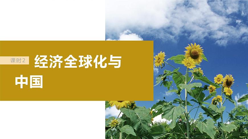 2024屆高考政治一輪復(fù)習(xí)(部編版江蘇專用)選擇性必修1當(dāng)代國際政治與經(jīng)濟(jì)第二十九課課時(shí)2經(jīng)濟(jì)全球化與中國課件第2頁
