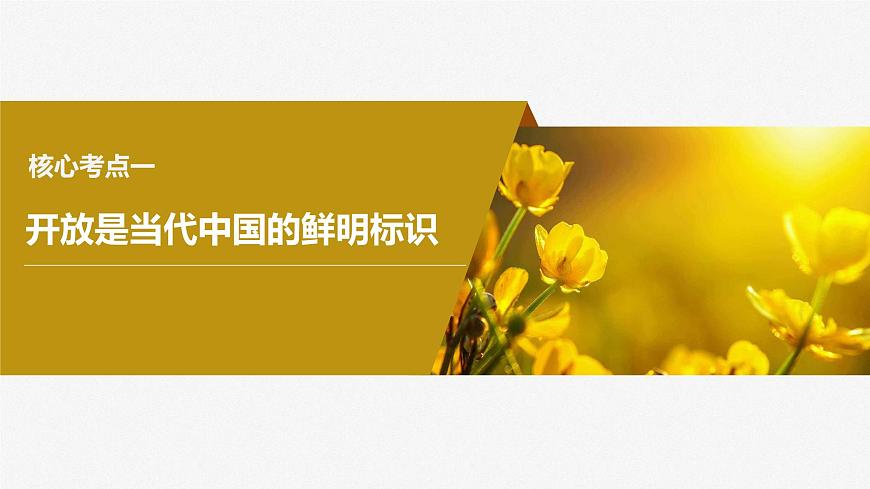 2024屆高考政治一輪復(fù)習(xí)(部編版江蘇專用)選擇性必修1當(dāng)代國際政治與經(jīng)濟(jì)第二十九課課時(shí)2經(jīng)濟(jì)全球化與中國課件第4頁