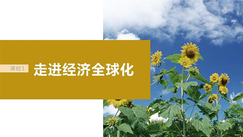 2024届高考政治一轮复习(部编版江苏专用)选择性必修1当代国际政治与经济第二十九课课时1走进经济全球化课件第5页