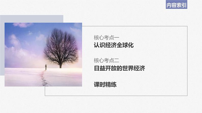 2024届高考政治一轮复习(部编版江苏专用)选择性必修1当代国际政治与经济第二十九课课时1走进经济全球化课件第6页