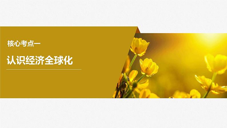2024届高考政治一轮复习(部编版江苏专用)选择性必修1当代国际政治与经济第二十九课课时1走进经济全球化课件第7页