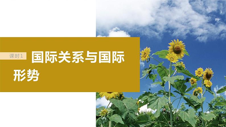2024届高考政治一轮复习(部编版江苏专用)选择性必修1当代国际政治与经济第二十八课课时1国际关系与国际形势课件第5页