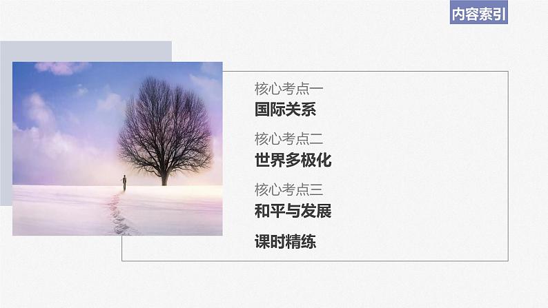 2024届高考政治一轮复习(部编版江苏专用)选择性必修1当代国际政治与经济第二十八课课时1国际关系与国际形势课件第6页
