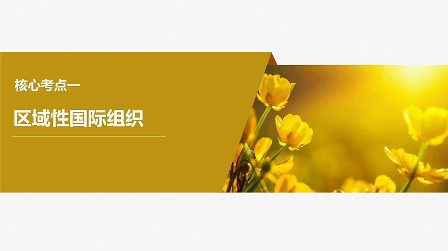 2024屆高考政治一輪復(fù)習(xí)(部編版江蘇專(zhuān)用)選擇性必修1當(dāng)代國(guó)際政治與經(jīng)濟(jì)第三十課課時(shí)2區(qū)域性國(guó)際組織和新興國(guó)際組織課件第4頁(yè)