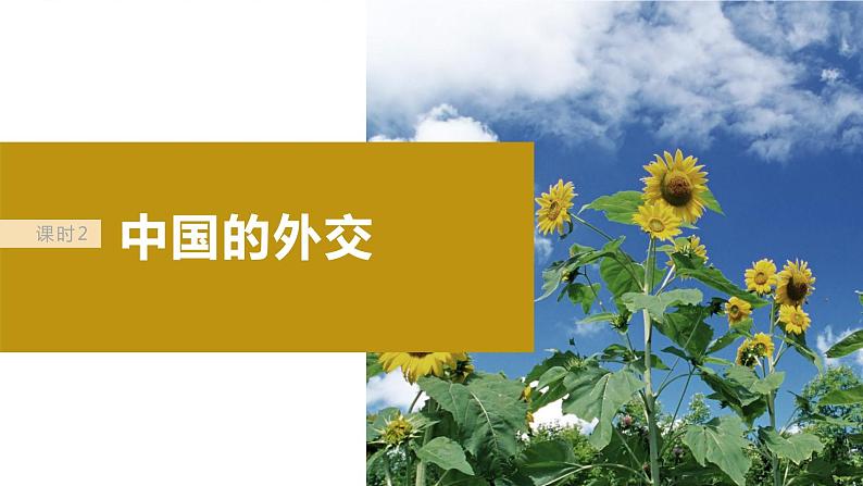 2024届高考政治一轮复习(部编版江苏专用)选择性必修1当代国际政治与经济第二十八课课时2中国的外交课件02