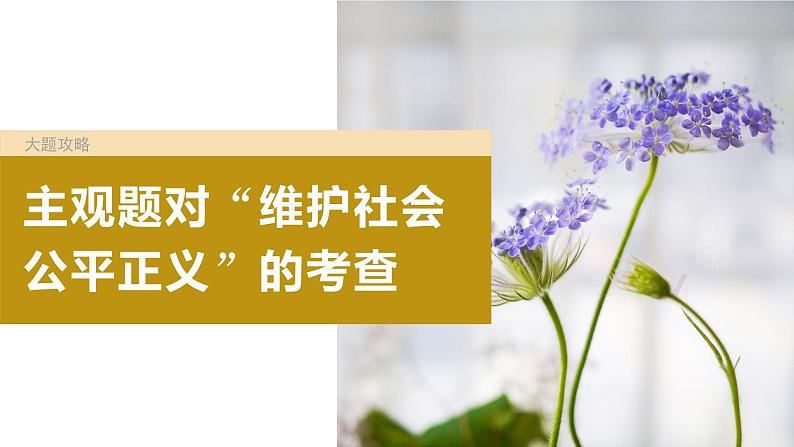 2024届高考政治一轮复习(部编版江苏专用)选择性必修2法律与生活第三十四课大题攻略主观题对“维护社会公平正义”的考查课件02