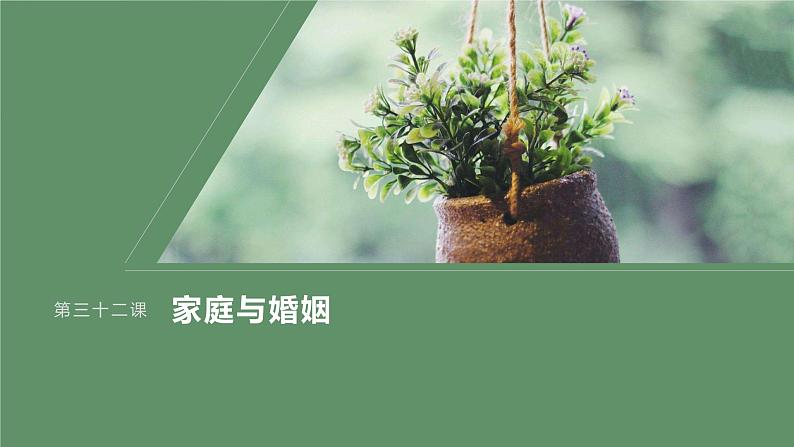 2024届高考政治一轮复习(部编版江苏专用)选择性必修2法律与生活第三十二课课时2珍惜婚姻关系课件01