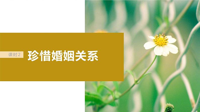 2024届高考政治一轮复习(部编版江苏专用)选择性必修2法律与生活第三十二课课时2珍惜婚姻关系课件02