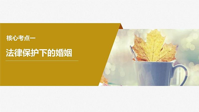 2024届高考政治一轮复习(部编版江苏专用)选择性必修2法律与生活第三十二课课时2珍惜婚姻关系课件04