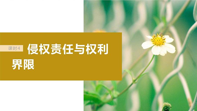 2024届高考政治一轮复习(部编版江苏专用)选择性必修2法律与生活第三十一课课时4侵权责任与权利界限课件第2页