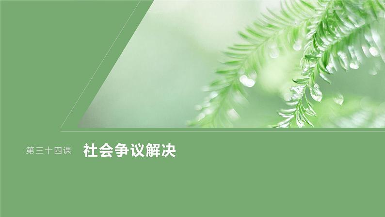 2024届高考政治一轮复习(部编版江苏专用)选择性必修2法律与生活第三十四课课时2诉讼实现公平正义课件01