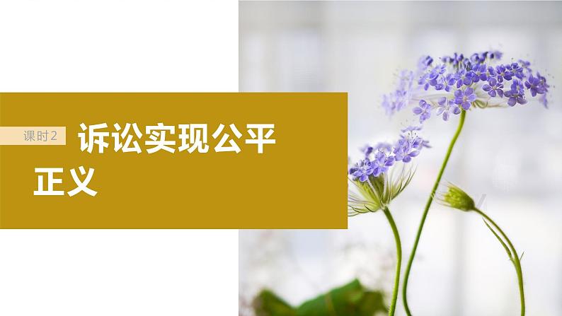 2024届高考政治一轮复习(部编版江苏专用)选择性必修2法律与生活第三十四课课时2诉讼实现公平正义课件02