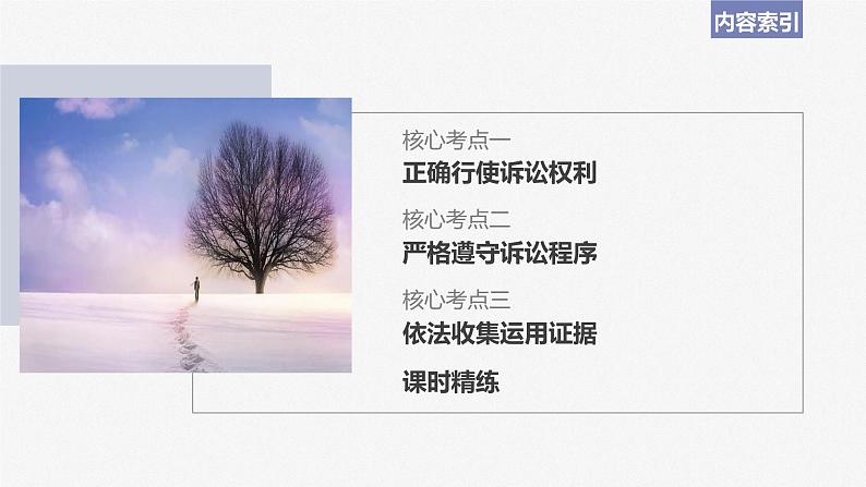 2024届高考政治一轮复习(部编版江苏专用)选择性必修2法律与生活第三十四课课时2诉讼实现公平正义课件03