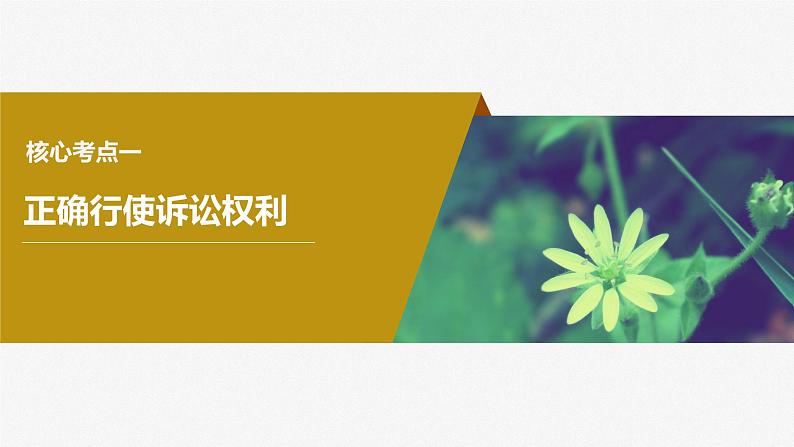 2024届高考政治一轮复习(部编版江苏专用)选择性必修2法律与生活第三十四课课时2诉讼实现公平正义课件04