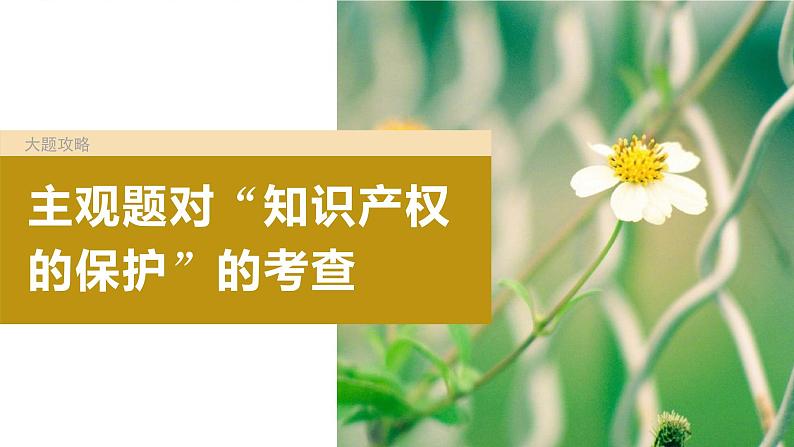 2024届高考政治一轮复习(部编版江苏专用)选择性必修2法律与生活第三十一课课时2大题攻略主观题对“知识产权的保护”的考查课件02