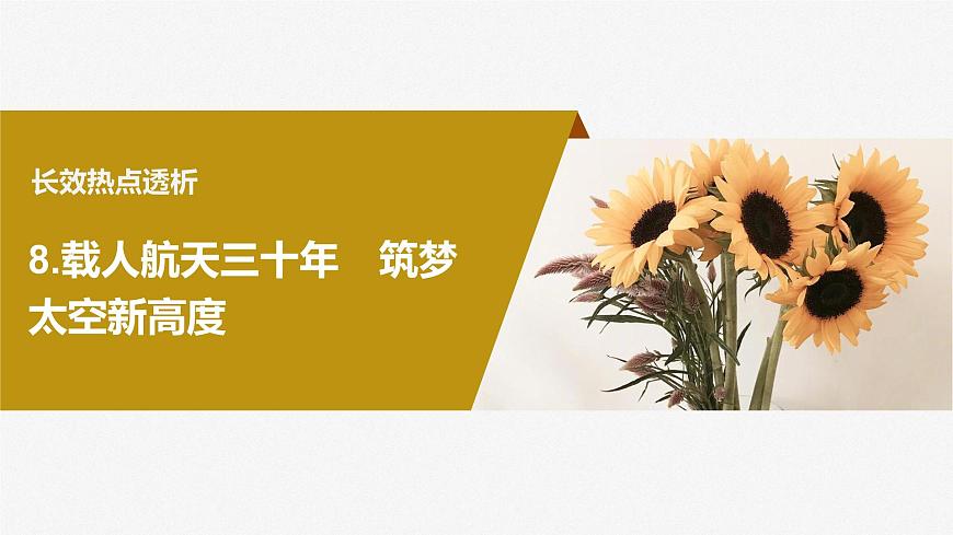 2024屆高考政治一輪復習（部編版江蘇專用）選擇性必修3邏輯與思維階段提升復習八邏輯與思維課件第4頁