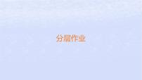 高中政治 (道德與法治)人教統(tǒng)編版選擇性必修1 當(dāng)代國際政治與經(jīng)濟挑戰(zhàn)與應(yīng)對作業(yè)ppt課件