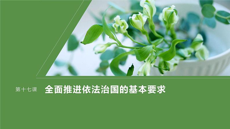 2024届高考政治一轮复习(部编版江苏专用)必修3政治与法治第十七课课时1大题攻略主观题对“科学立法”的考查课件第1页