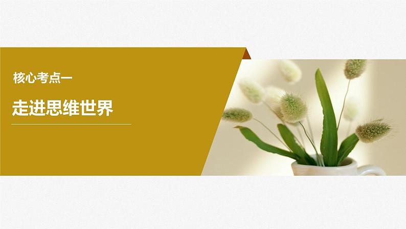 2024届高考政治一轮复习(部编版江苏专用)选择性必修3逻辑与思维第三十五课课时1思维与科学思维课件07