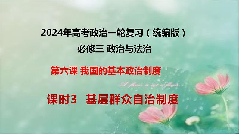 6.3基层群众制度课件-2024届高考政治一轮复习统编版必修三政治与法治第1页