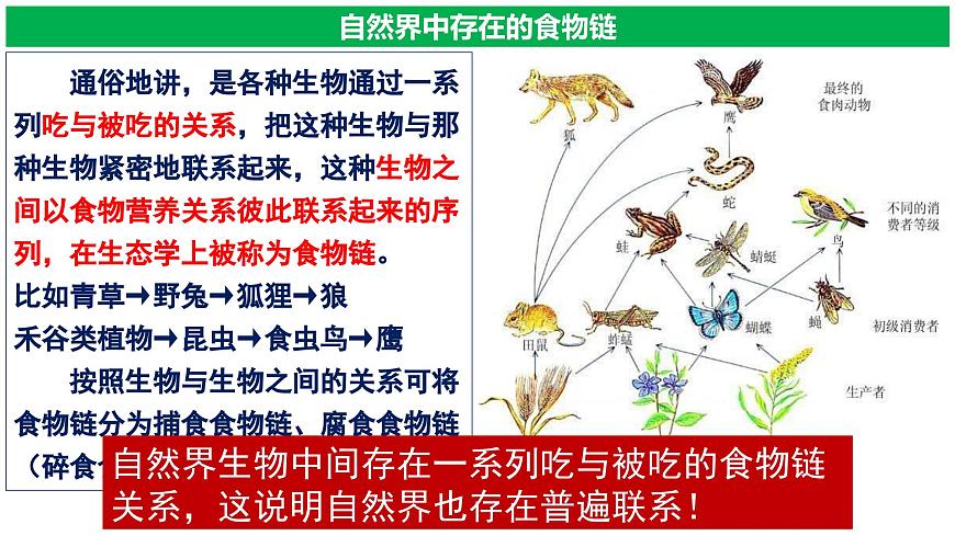 3.1世界是普遍聯(lián)系的第5頁