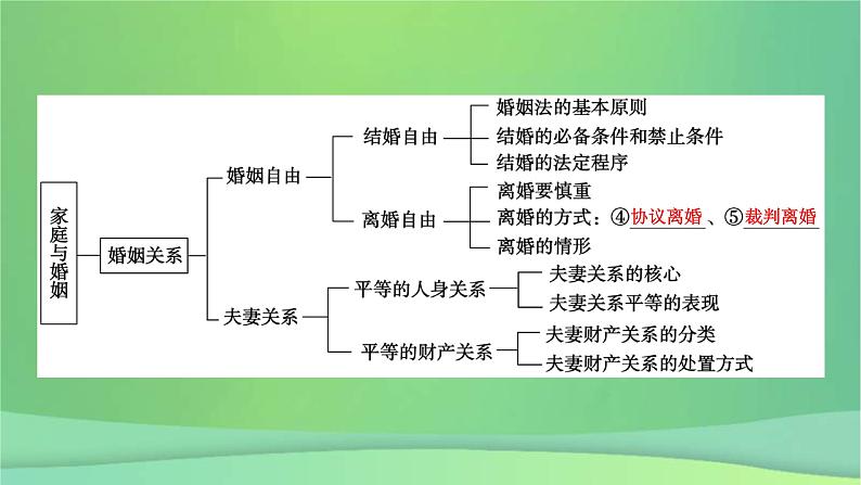 新高考政治一轮总复习课件家庭与婚姻第3课在和睦家庭中成长珍惜婚姻关系(含解析)第8页